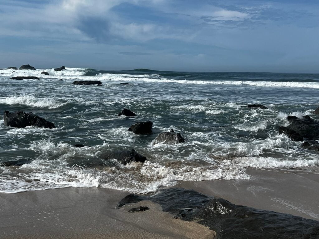 Half Moon Bay RV Park and Campground
