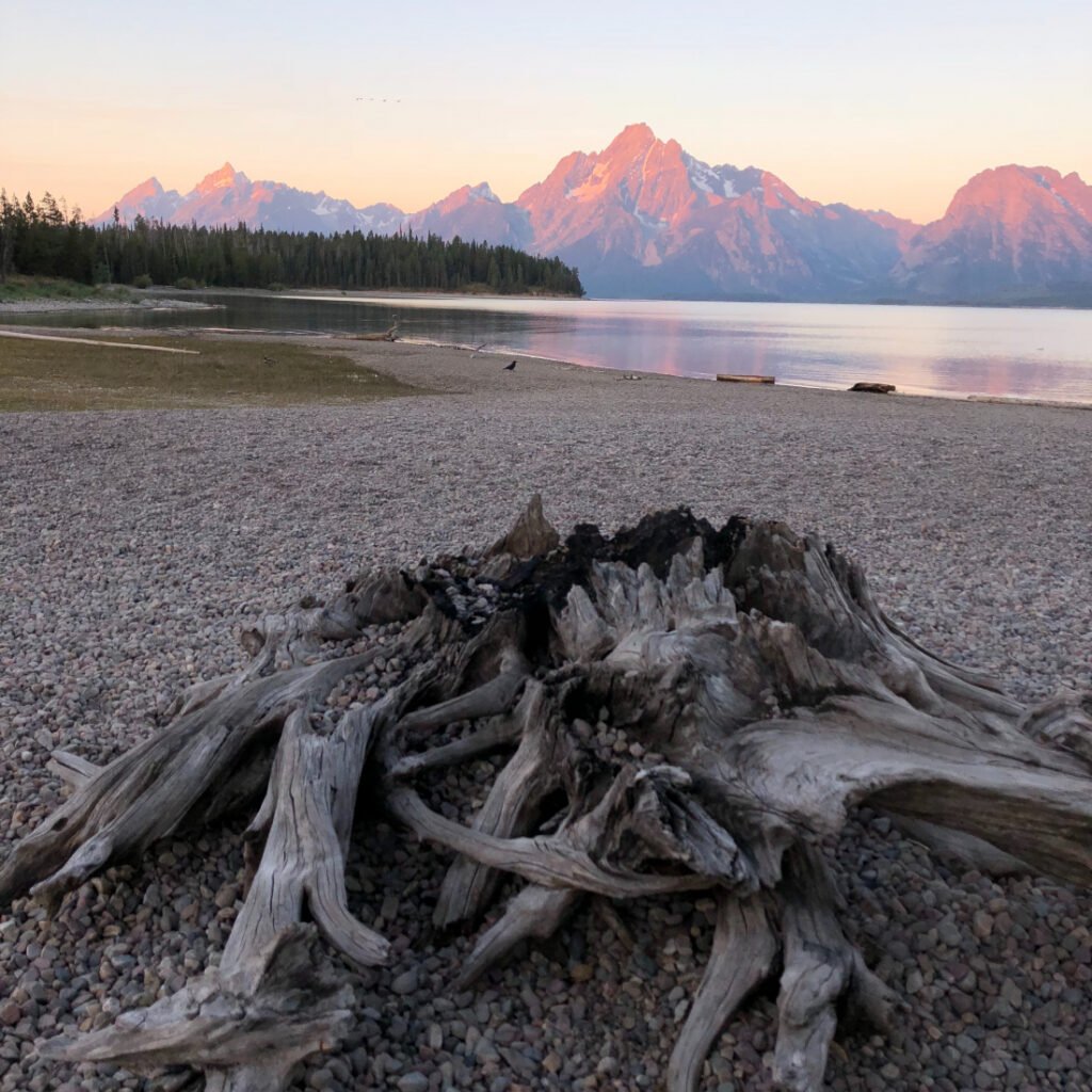 Colter Bay RV Park